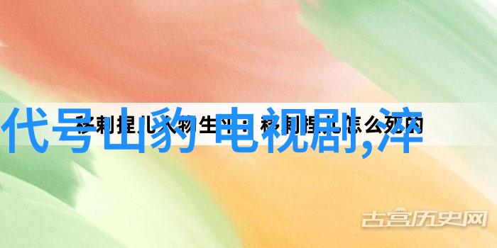 台北市长选举中环保议题占据了怎样的重要位置和讨论焦点