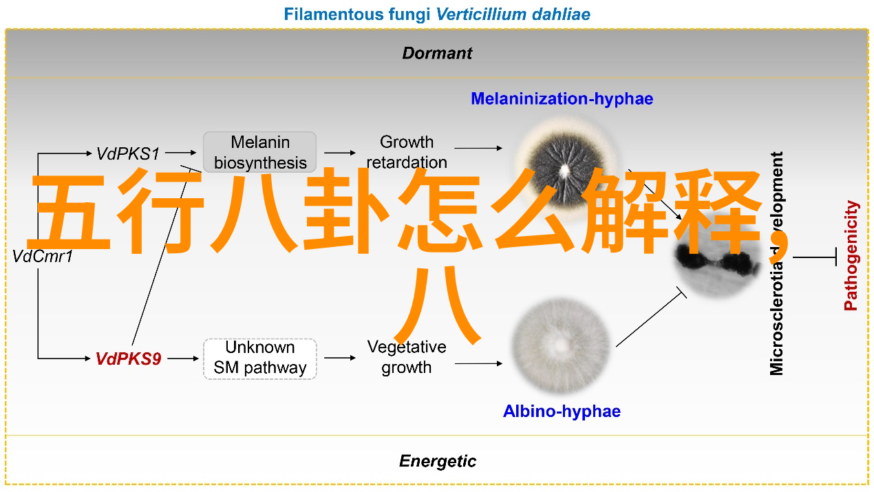 天涯共铸辉煌吴秀波与唐艺昕的艺术实锤之旅