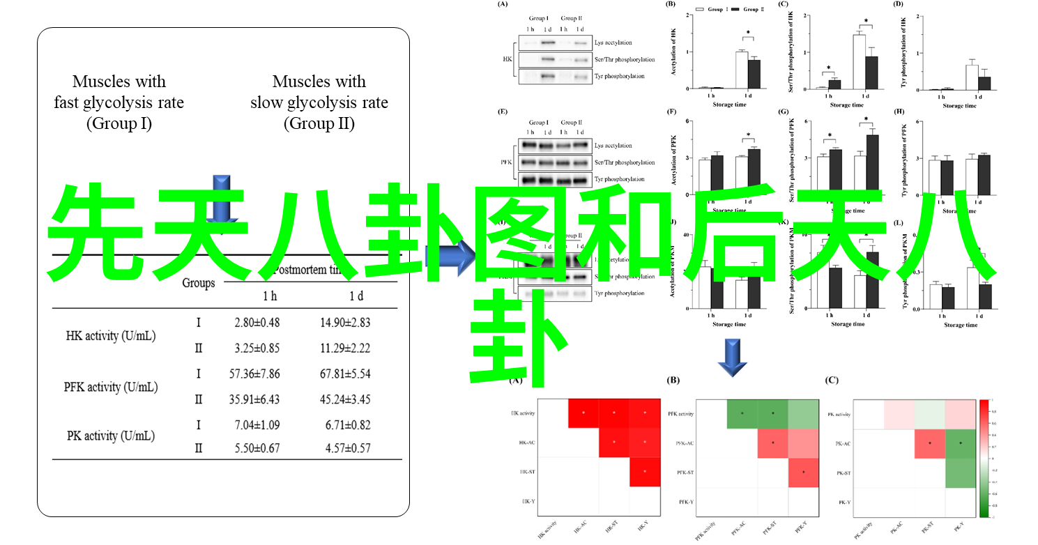 中国首个量子通信卫星成功发射开启新时代的空间信息传输