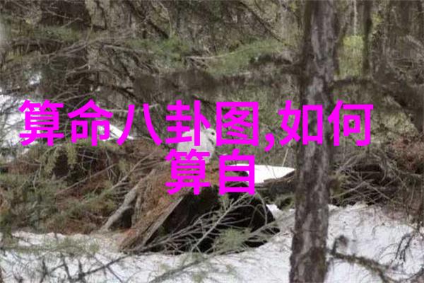 难忘经典老歌100首回忆曲目的旋律与情感