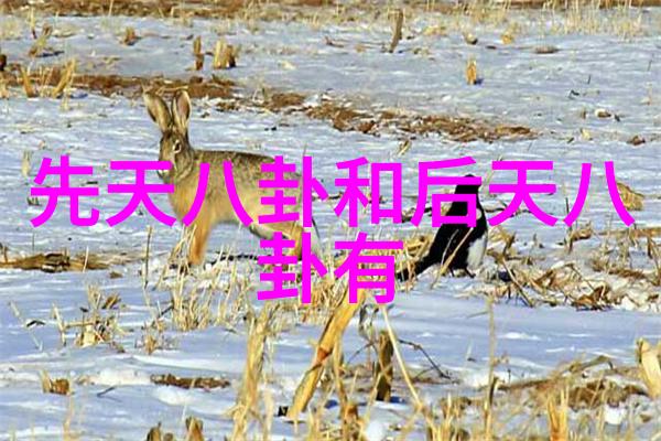 鹿药星座特质了解1月出生的人性格和命运