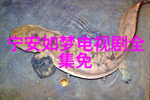 东北传说之猎狐熊出没之伴我熊芯电影免费观看11月10日腾讯视频全网独播揭开社会深层的神秘面纱