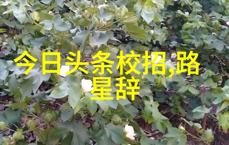 西方奇幻欧洲模特的裸露冒险