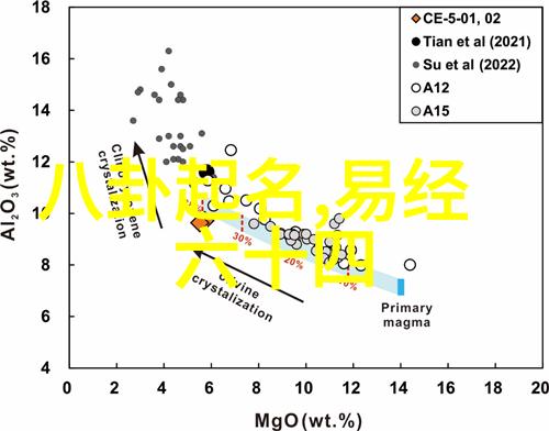 综艺大观一场多元文化的盛宴