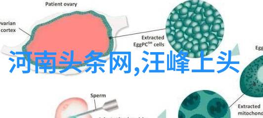 乾卦与坤卦的智慧探秘最全八卦图的奥义