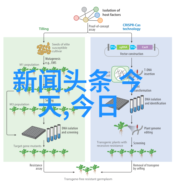 AI时代来临人工智能如何重塑我们的工作与生活