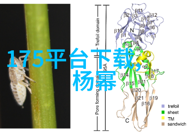 冯绍峰亲子纷争冯绍峰亲子鉴定真相揭秘背后的法律和社会关注