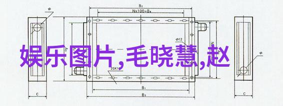 用户在使用成全影视进行免费观看时可能面临哪些风险