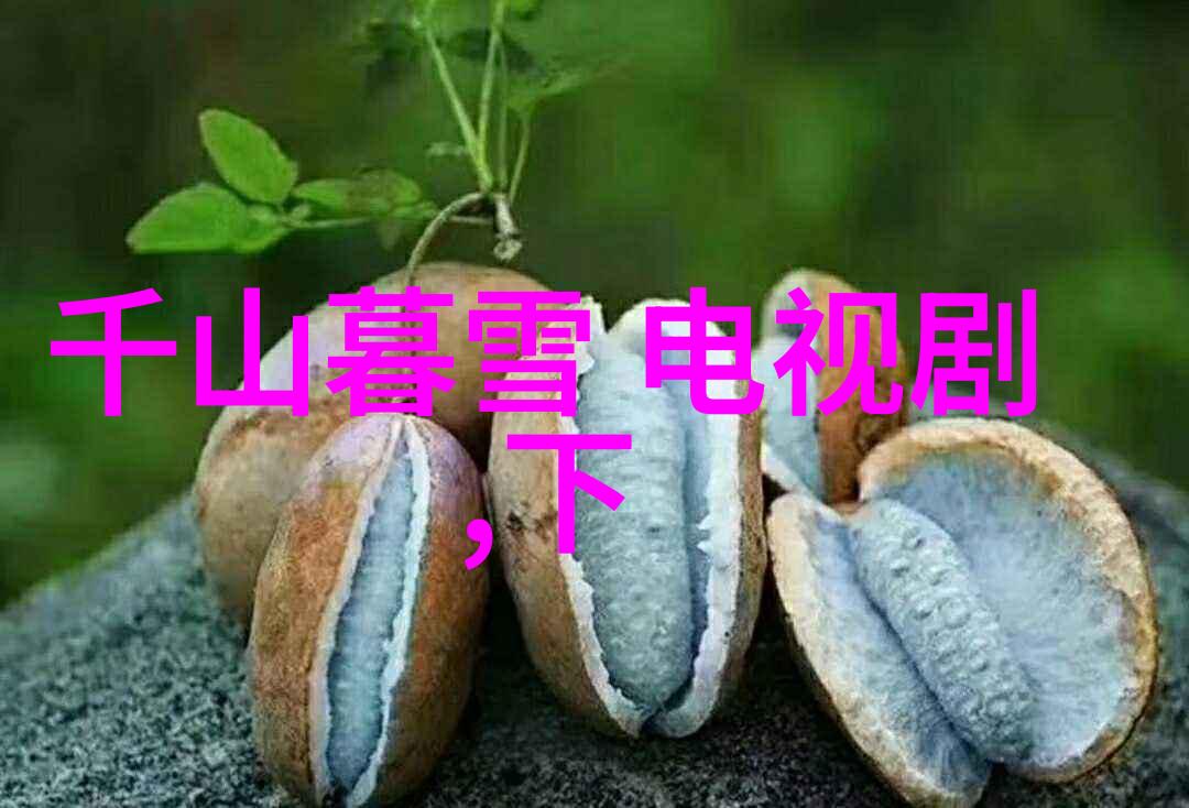 八卦大探秘揭秘哪种图是真的正确