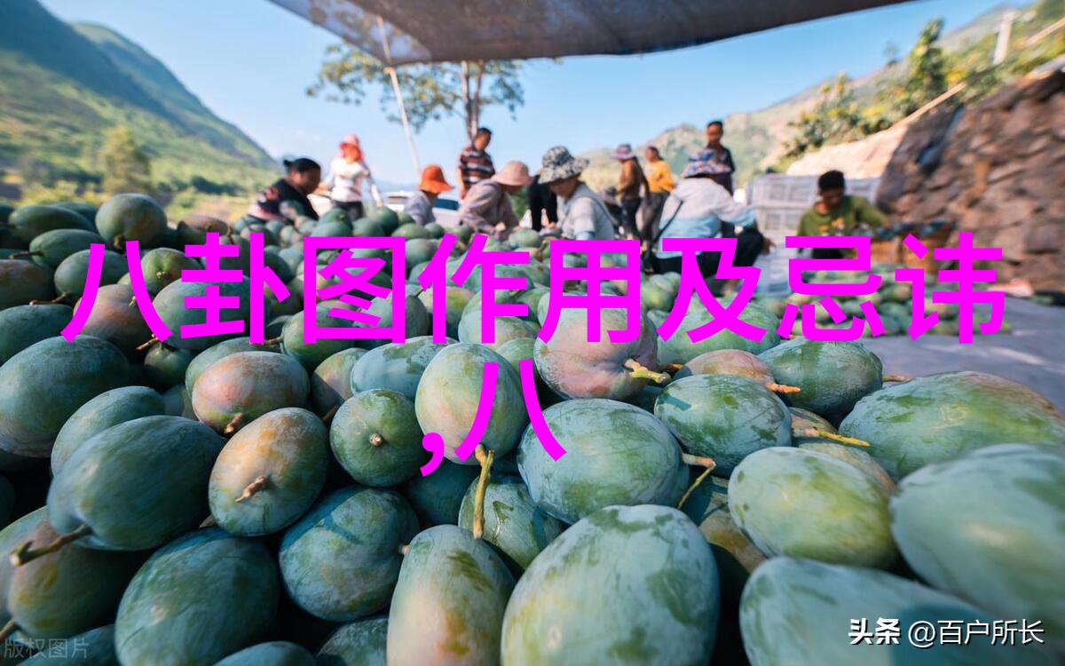 星辰影视我和星辰影视的那些天幕后故事与未来的憧憬