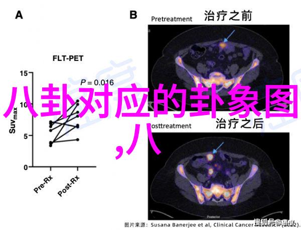 华丽星光火箭少女101全套皮肤图片大全图册