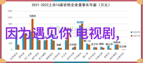 触动人心的瞬间那些让人泪水涟涟的照片故事