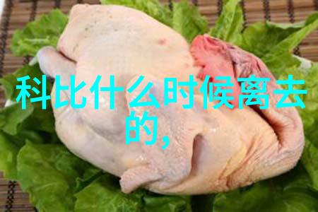 月光影视大全高清版精彩无限的电影与电视剧收藏