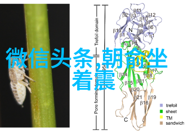 我在雪梨的冒险我的雪梨之旅从悉尼歌剧院到蓝山国家公园