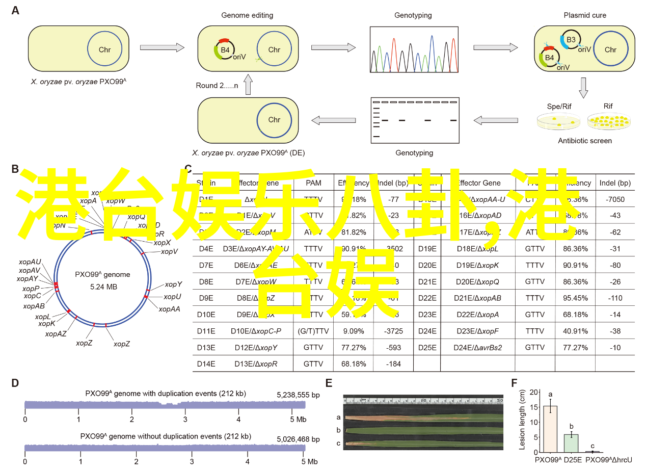 快速阅读体验最新今日头条极速版下载方法解析