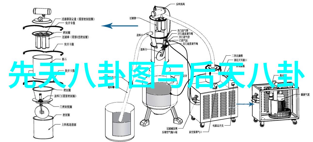 璀璨明星独特魅力王思聪与雪梨的奇妙缘分