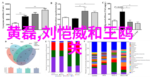 银河综艺馆精彩演出星际歌舞汇聚