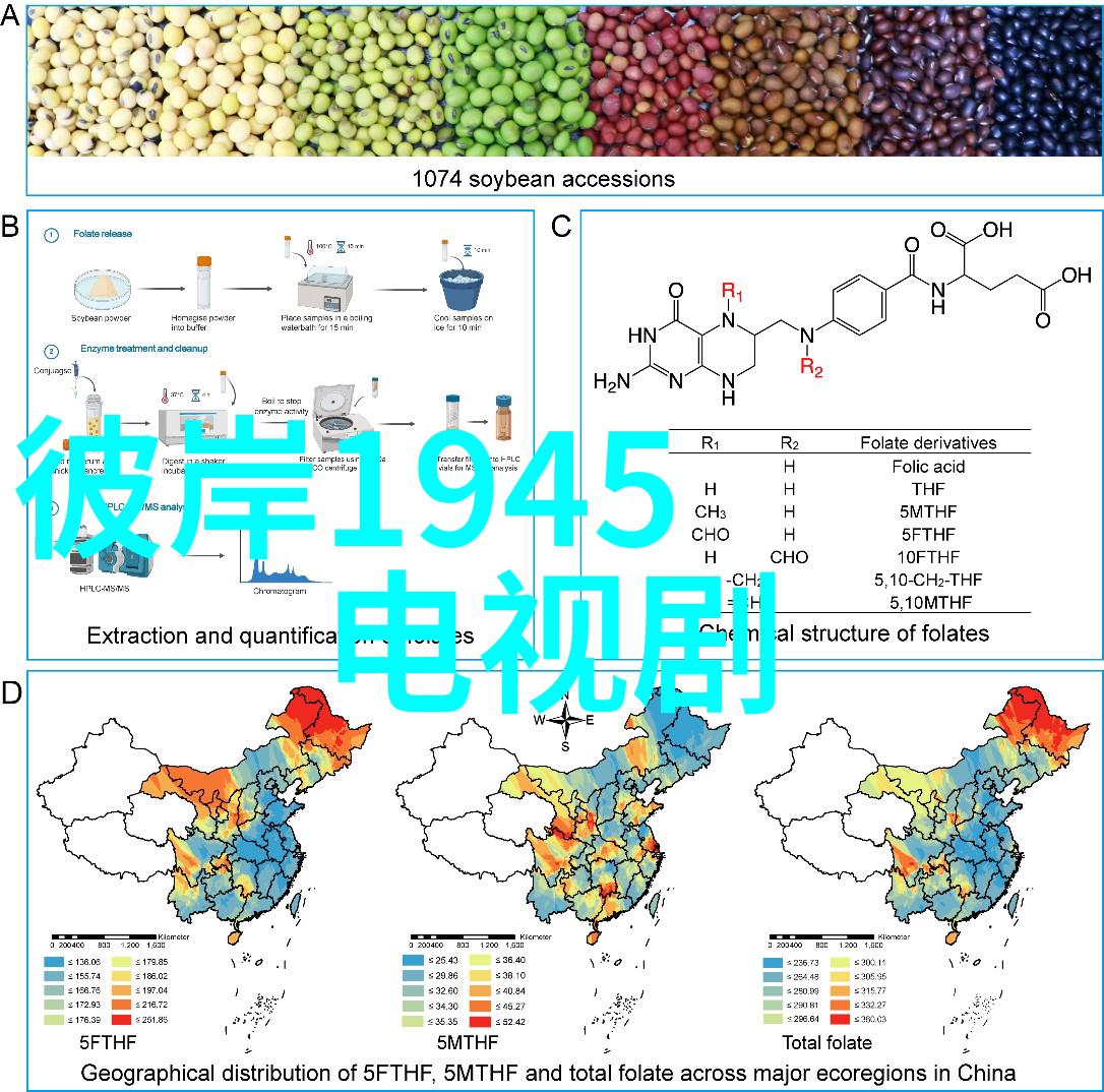 画卷中的世界寻觅最美丽的视觉诗篇