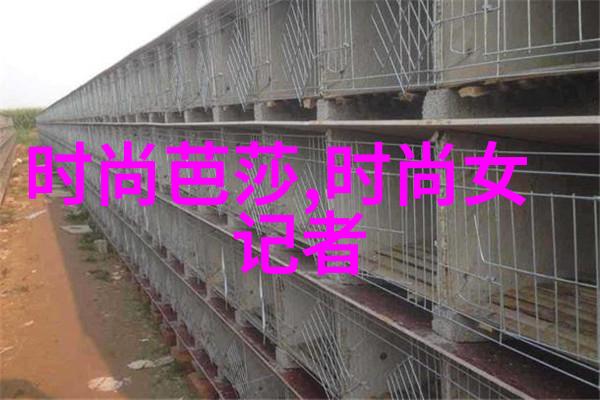 电影院我在这里找到了逃离的港湾