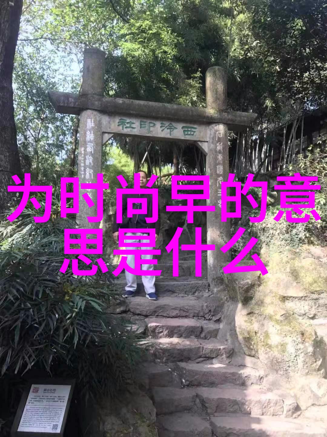 汪峰音乐之巅从地下到头条传奇歌手的逆袭故事