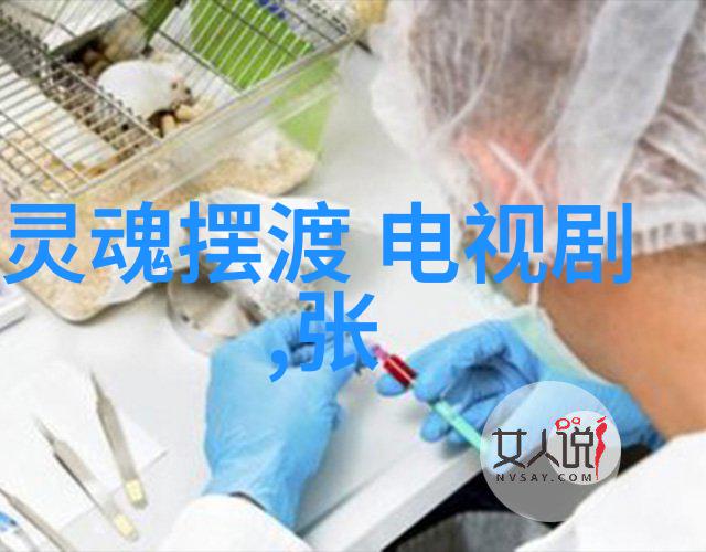 天堂影视我在这里找到我的电影天堂