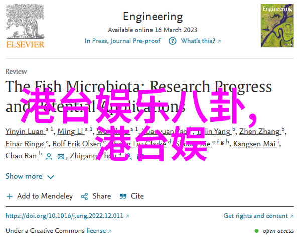 2023年最美无偿图库探索视觉艺术的新篇章