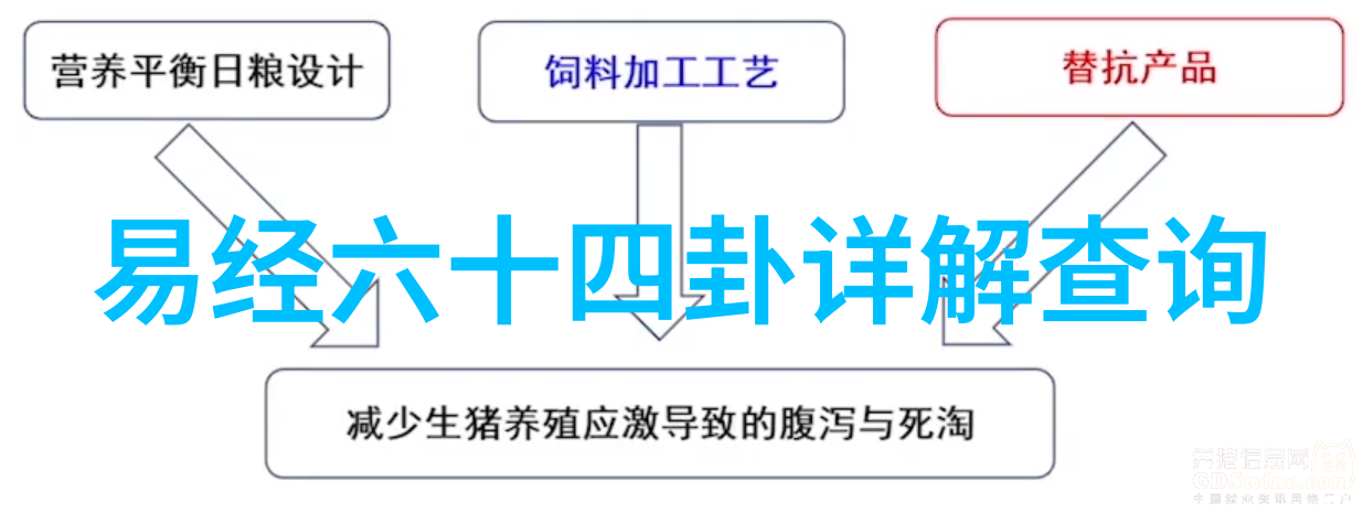 日本综艺我在日系综艺里找到了什么