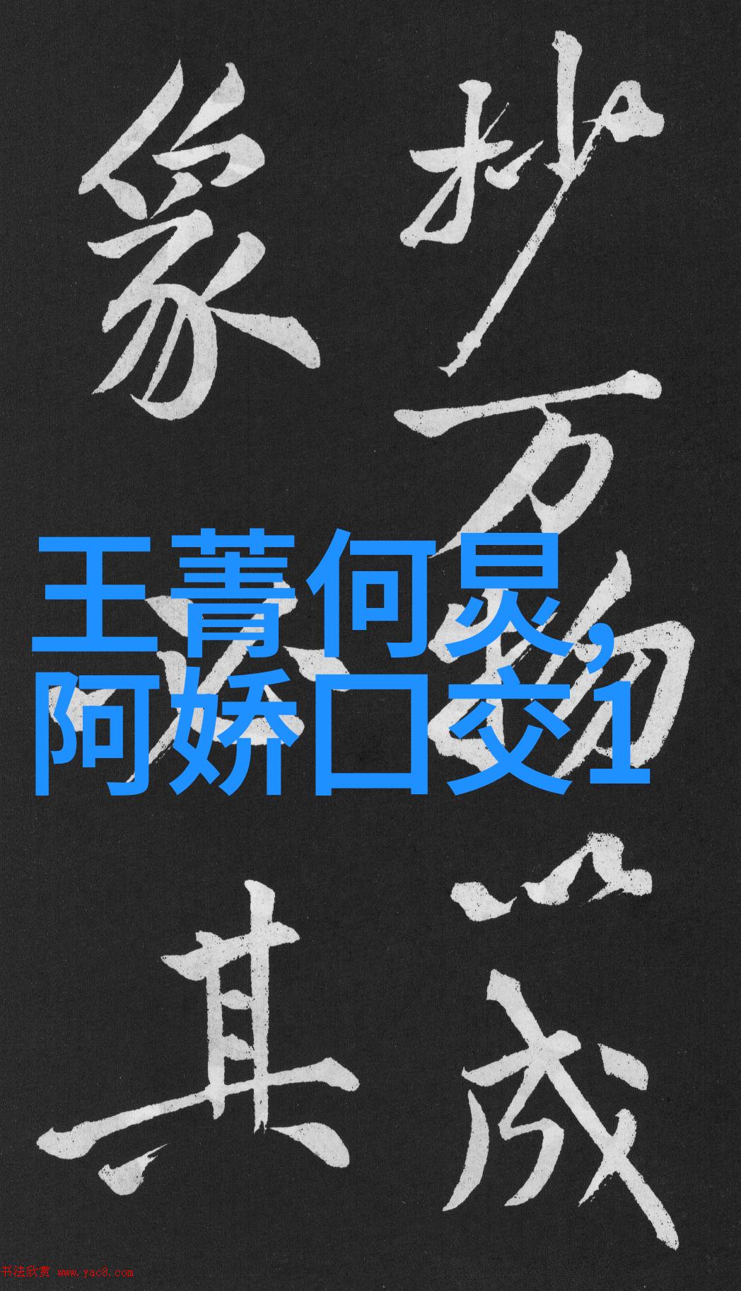 2022冬季奥林匹克运动会参赛国家数探究国际体育交流与多元文化融合的视角