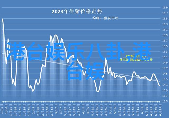 偶像的聚焦探秘综艺秀背后的星光世界