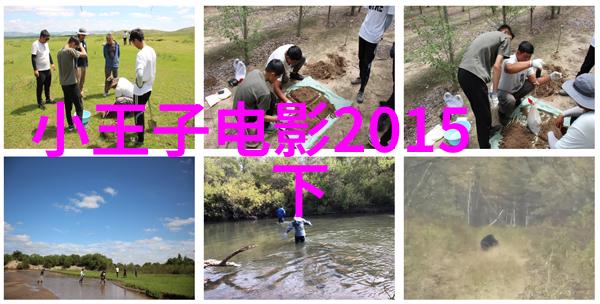 《星际邂逅：2015年小王子电影的奇幻之旅》