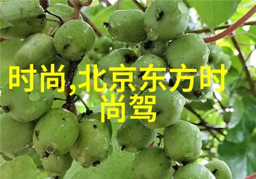 九道弯路上的娱乐巨擘杨树茂为什么崩溃