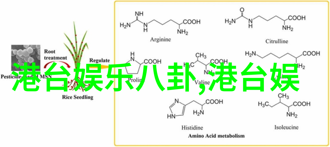 探索艺术图片的无限魅力与创意世界