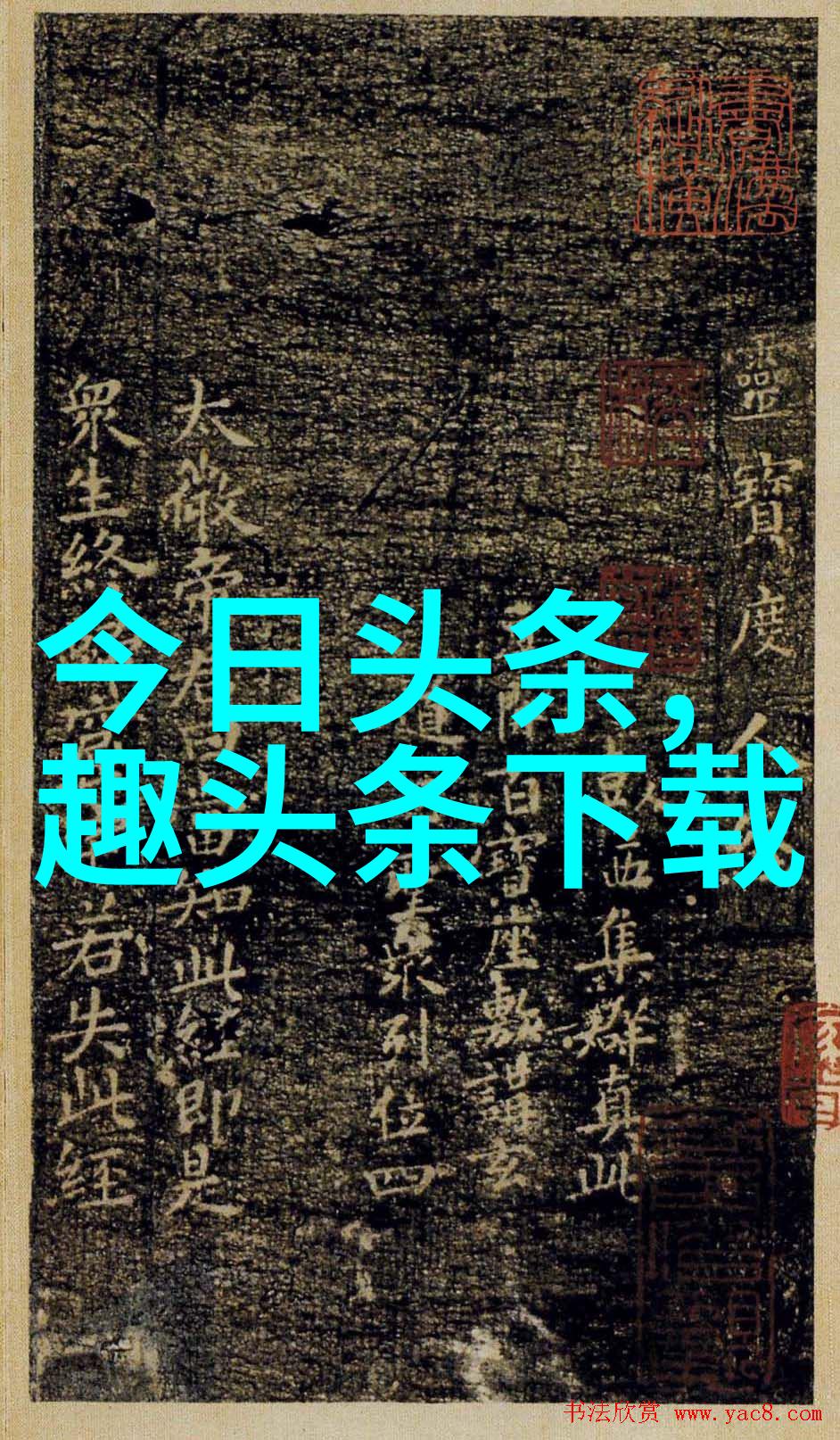 误入综艺镜头后我火了从默默观众到网红一夜之间的奇遇