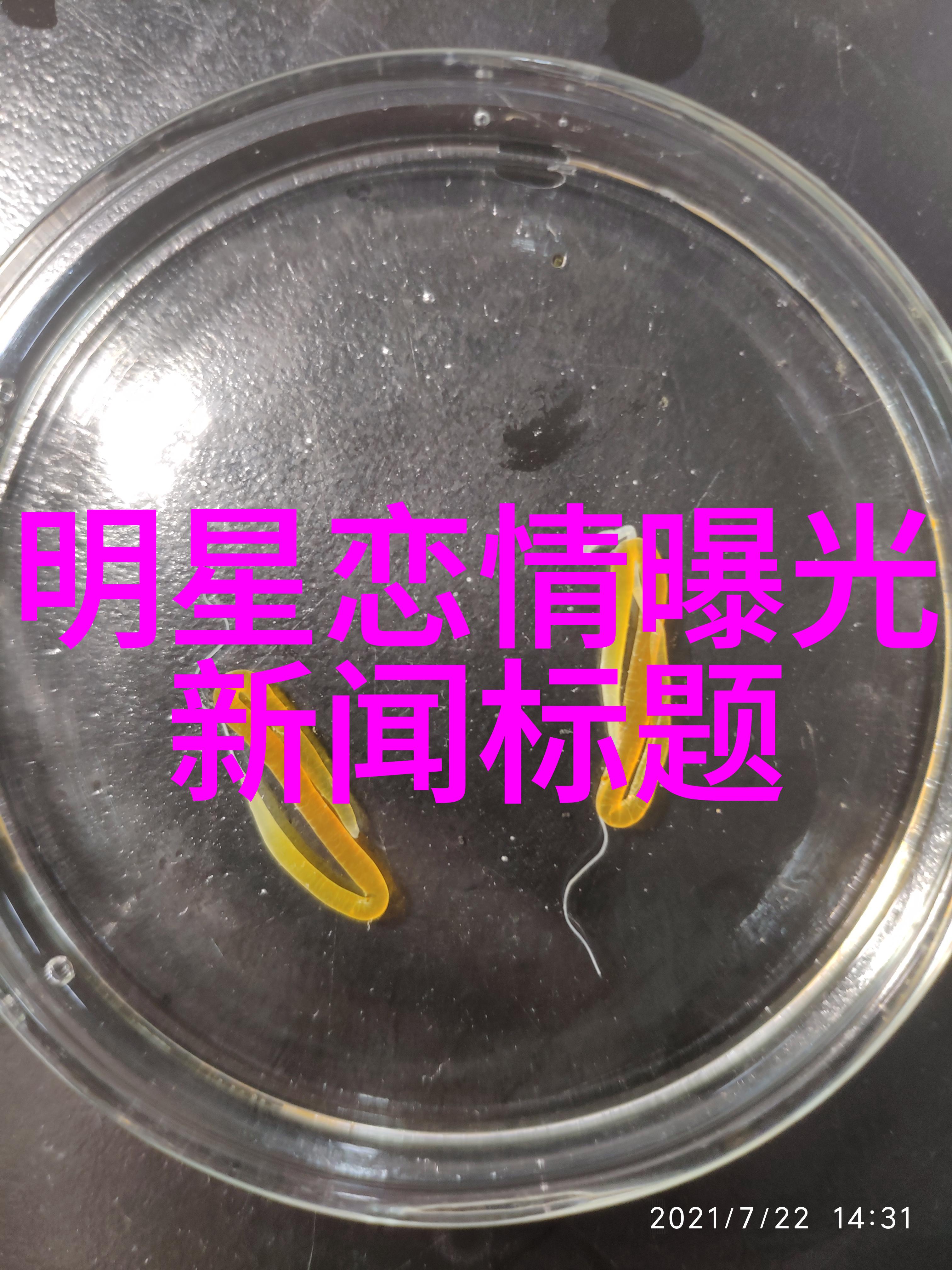 在时间的长河中寻觅yw.193. can优物的历史探秘