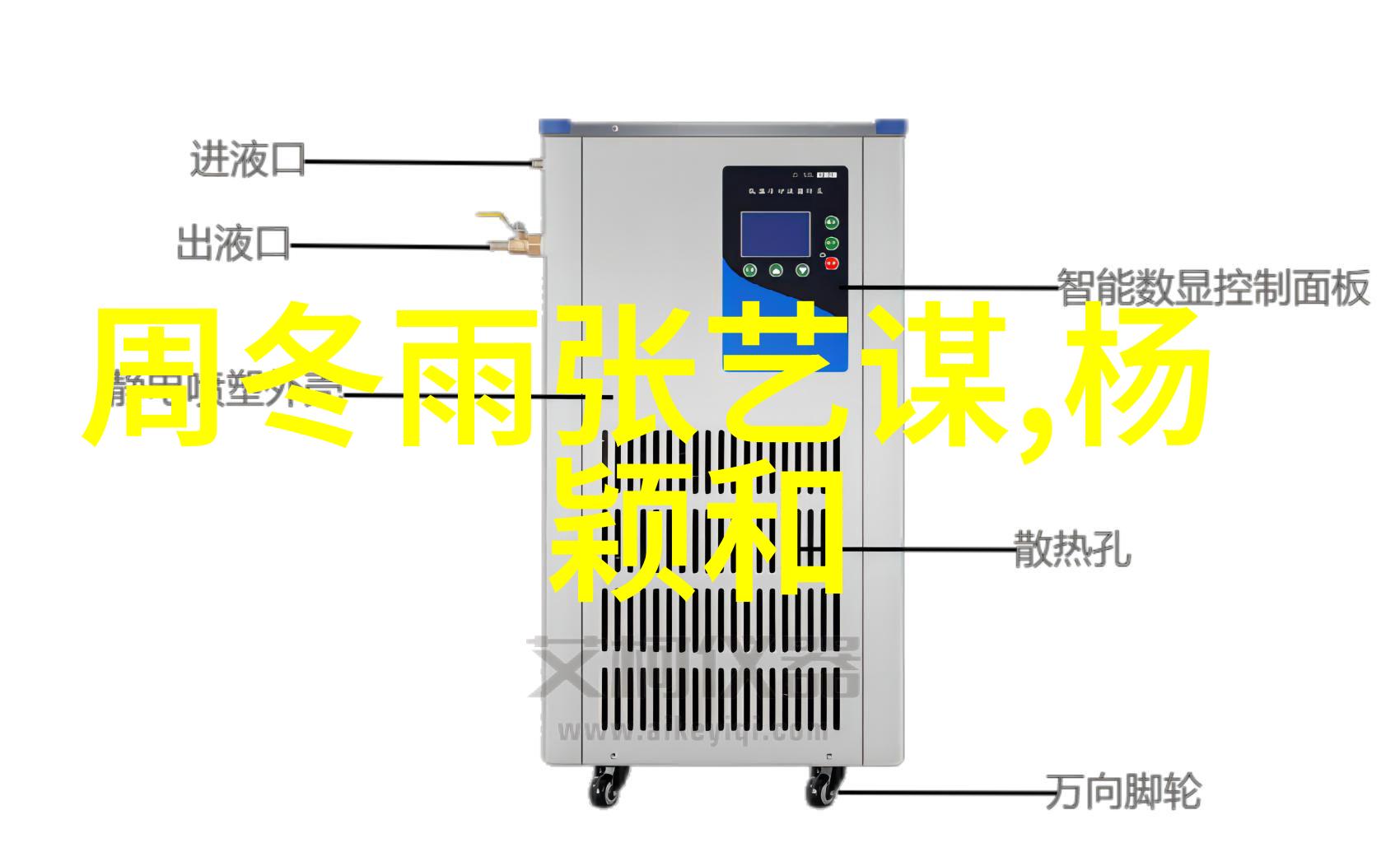 跨海情谊桥梁与对话的双向之旅