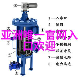 红楼梦中的十二金钗游戏探索宝藏与记忆的旅程