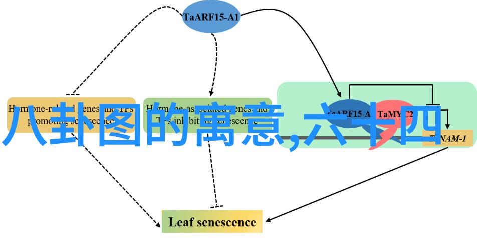 探索高清大图艺术如何选择和应用背景图片以提升视觉体验