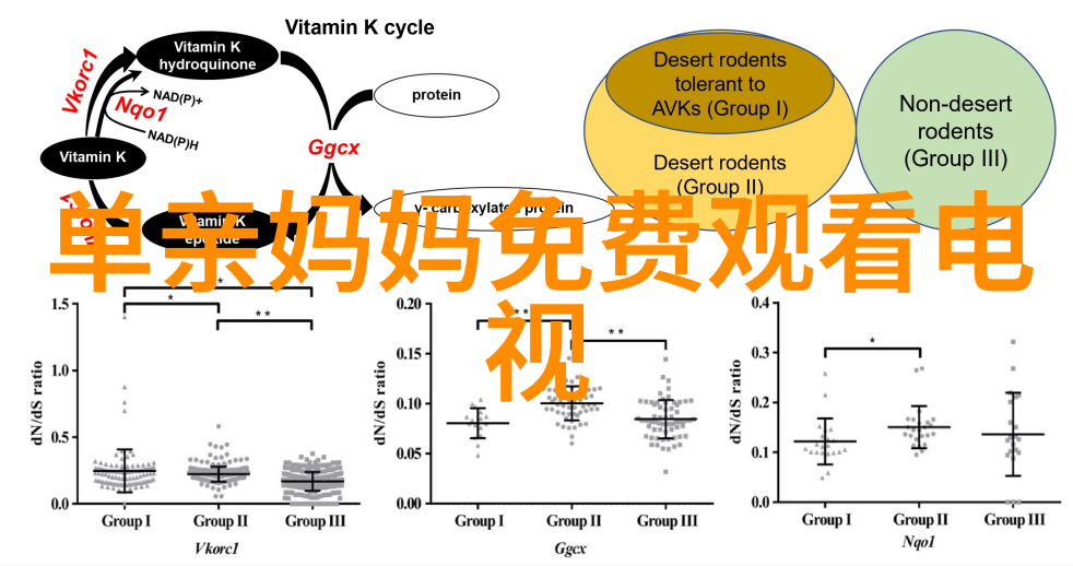 北京爱情故事电视剧青梅酸酸你微甜终极预告上线开启春日治愈之旅