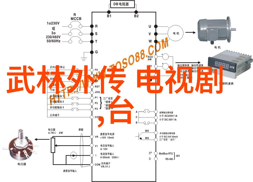 兽医苏玛丽PO-守护四角地的兽医苏玛丽的无私奉献