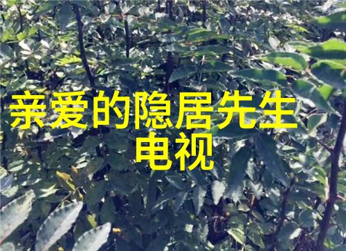 重构社会伦理观念中的木为官