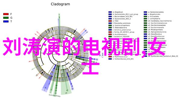 最好看的2019中文大全电影我眼中的影视盛宠战狼2