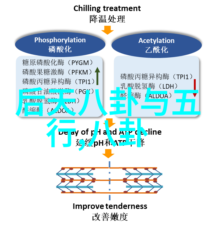 娱乐圈的期待我们离婚世界静悄悄