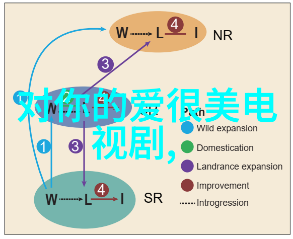 香蕉娱乐未知领域的甜蜜诱惑