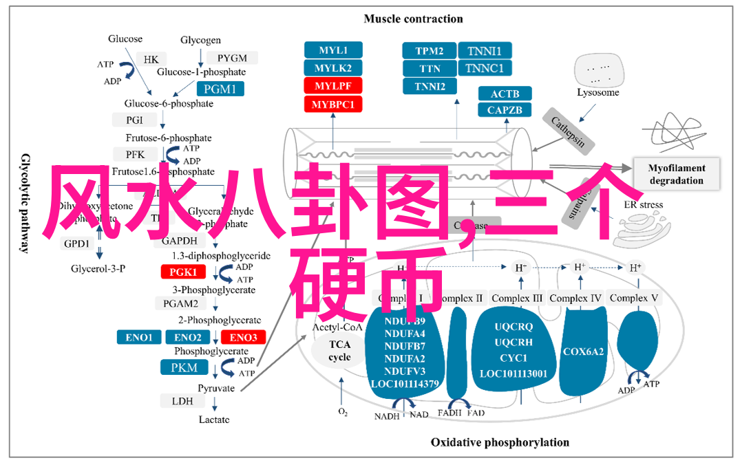 蜜桃成熟时电影 我的夏日甜蜜记忆蜜桃成熟时这部影片教会我珍惜生活每一个瞬间