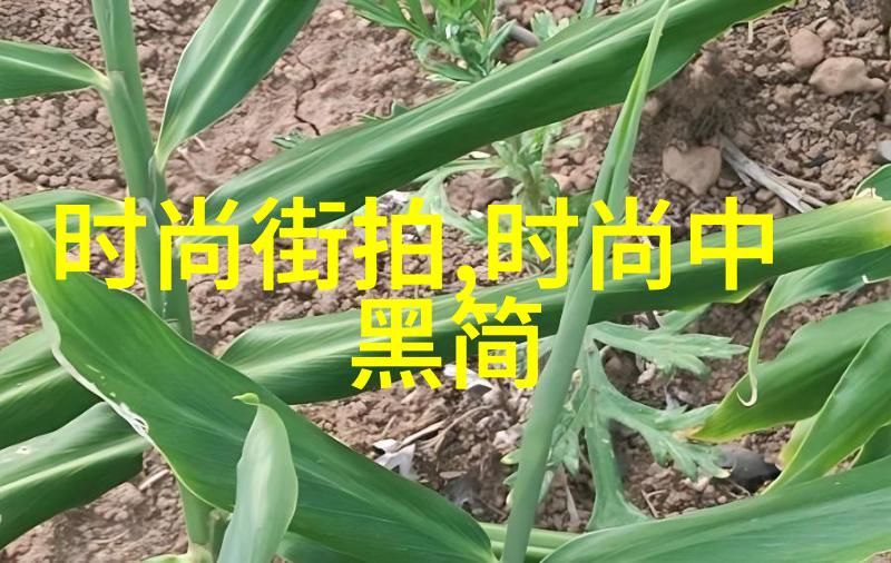 蜜汁炖鱿鱼全文加番外海洋美食的诱惑