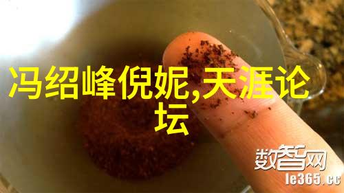 娱乐界热点星光大赏