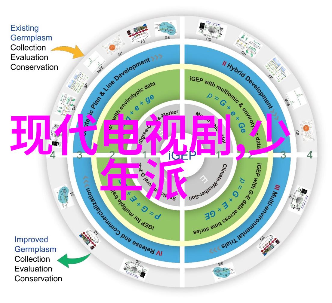 色彩与构图解析艺术写真中的视觉语言