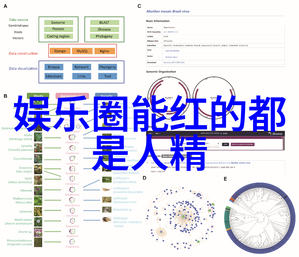 深情交响曲探索最动人的十首歌曲背后的故事与感悟