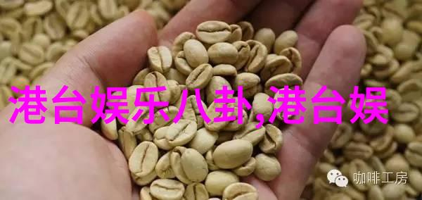 探索影视文化的无形财富无价之宝电影完整版免费观看的学术价值分析