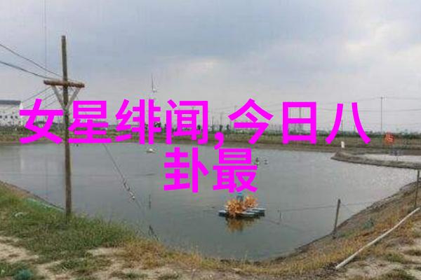 大胆写真揭秘摄影背后的勇气与挑战